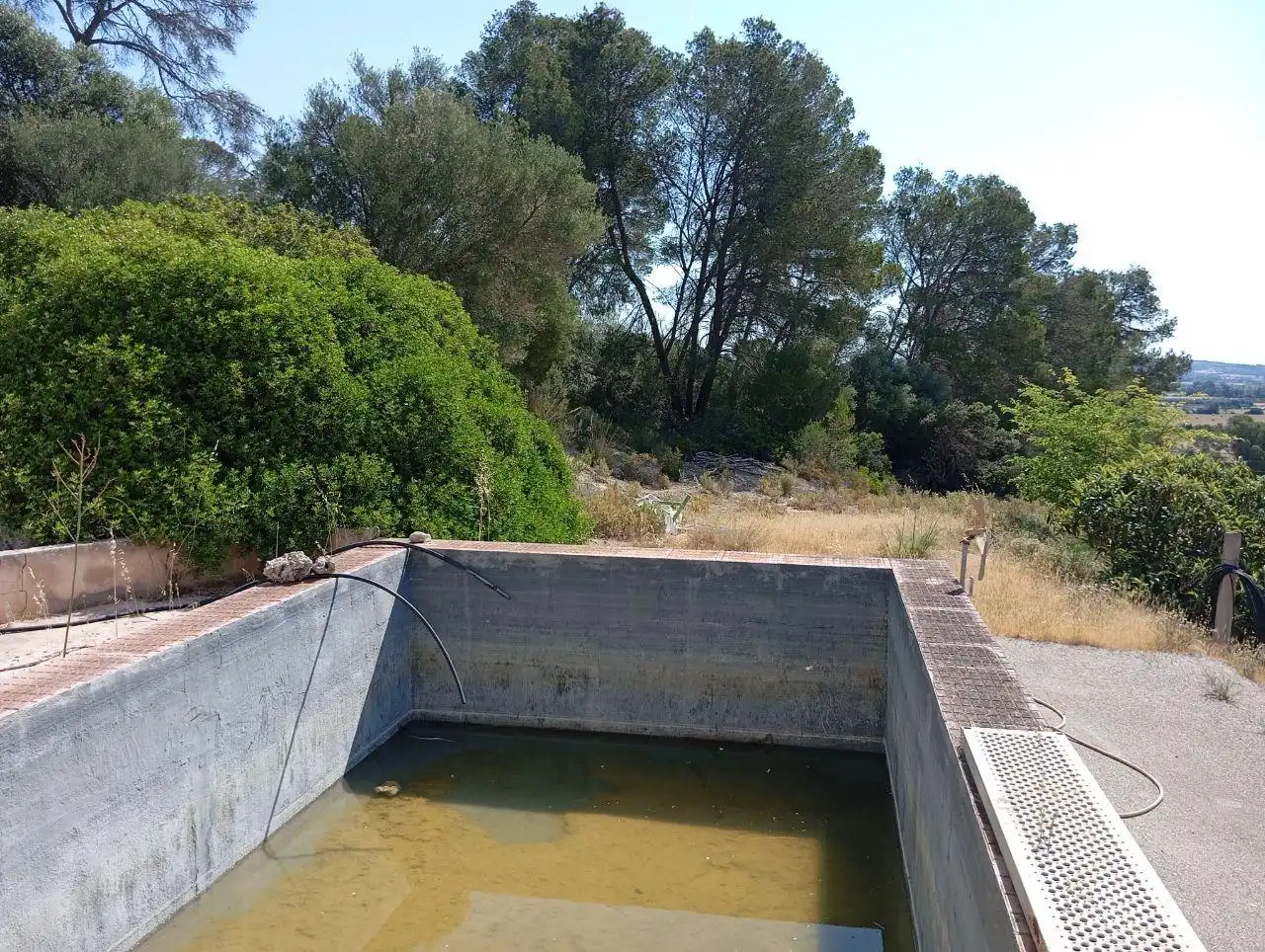 Piscina de Casa o chalet en venta en Lloret de Vistalegre