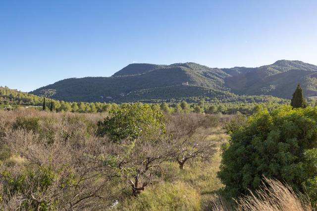 Terreno residencial en Venta en Polígono 4 en Estivella