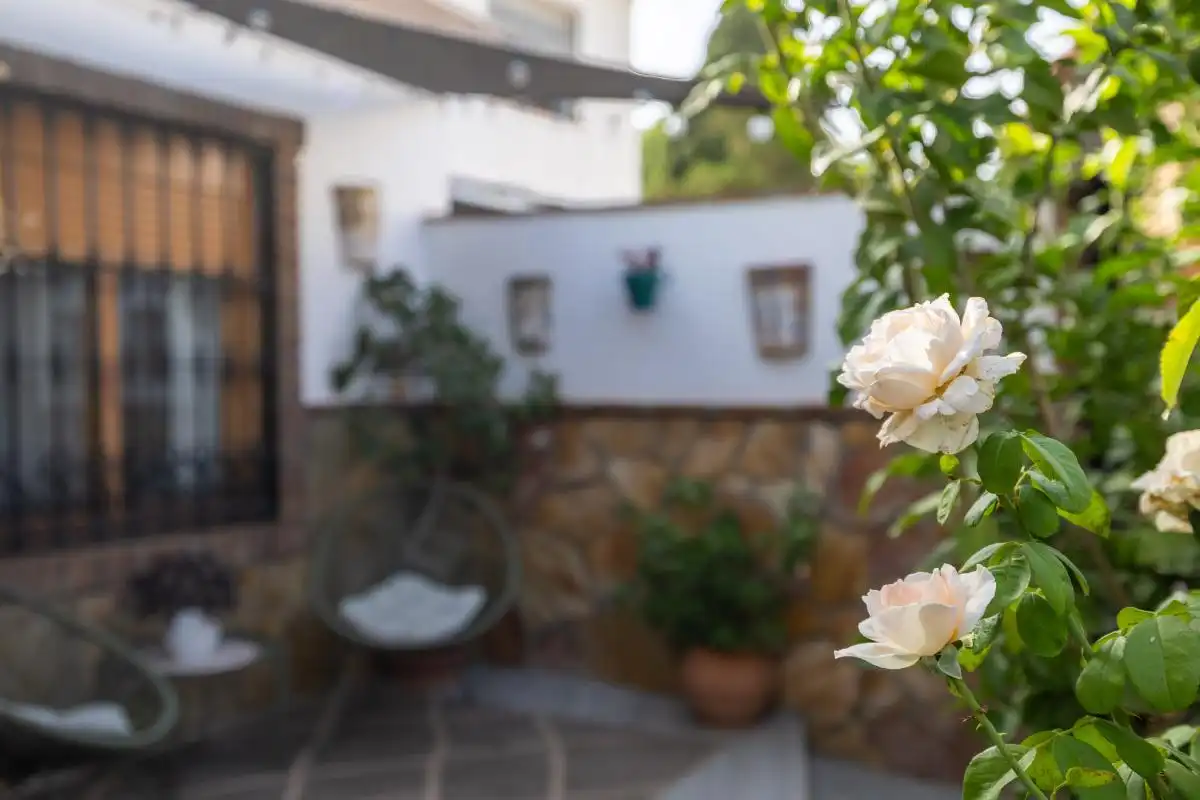 Jardí de Casa o xalet en venda en Torremolinos amb Aire condicionat, Calefacció i Jardí privat