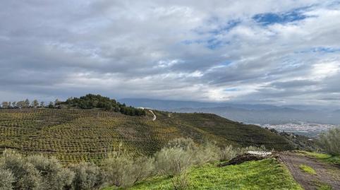 Photo 5 of Land for sale in Diseminado Cabrillas, 147, Camino Viejo de Málaga, Vélez-Málaga