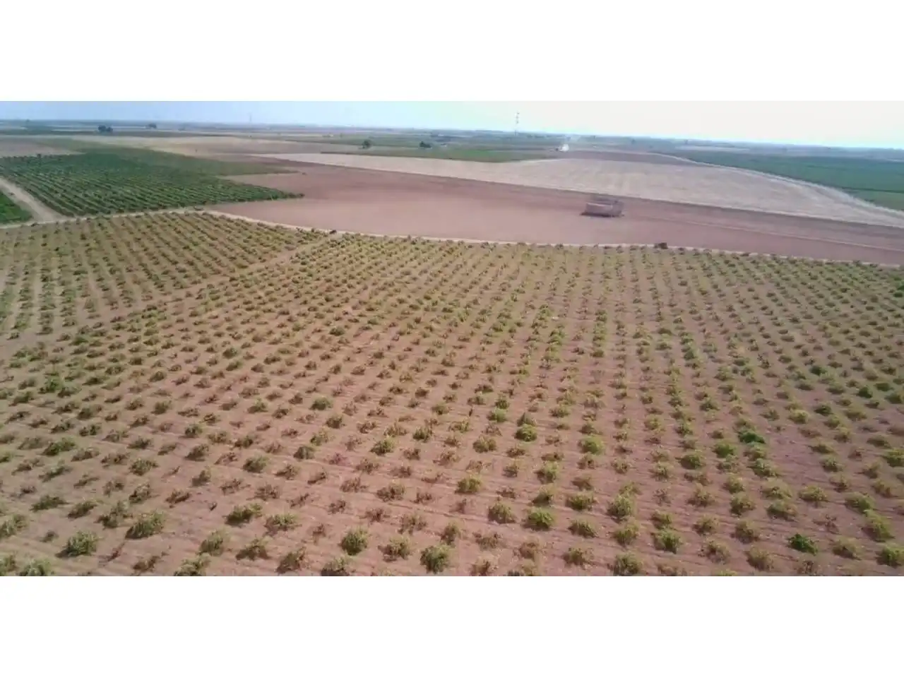 Rural land for sale in Manzanares, imagen 3