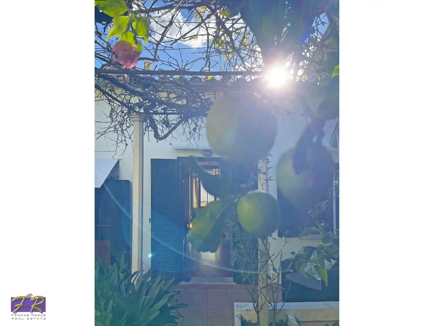 Jardí de Casa o xalet en venda en Alcúdia amb Terrassa, Moblat i Forn