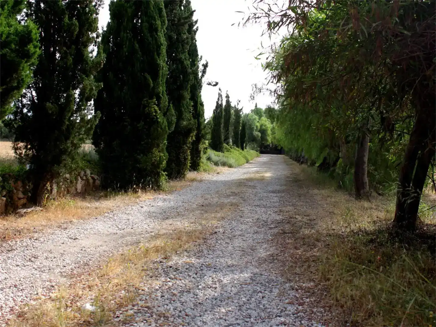 Vista exterior de Finca rústica en venda en Monforte del Cid amb Piscina