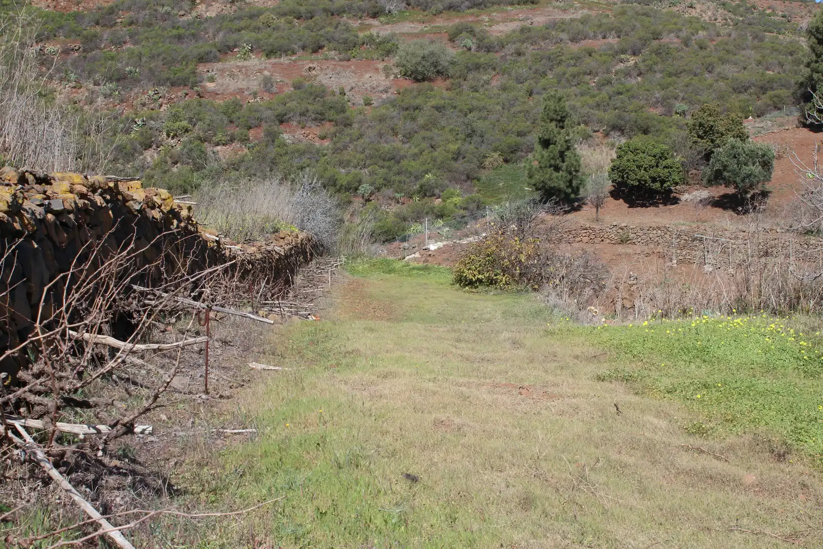 Rustikales Grundstück zum Verkauf in Machado - Las Barreras, imagen 14