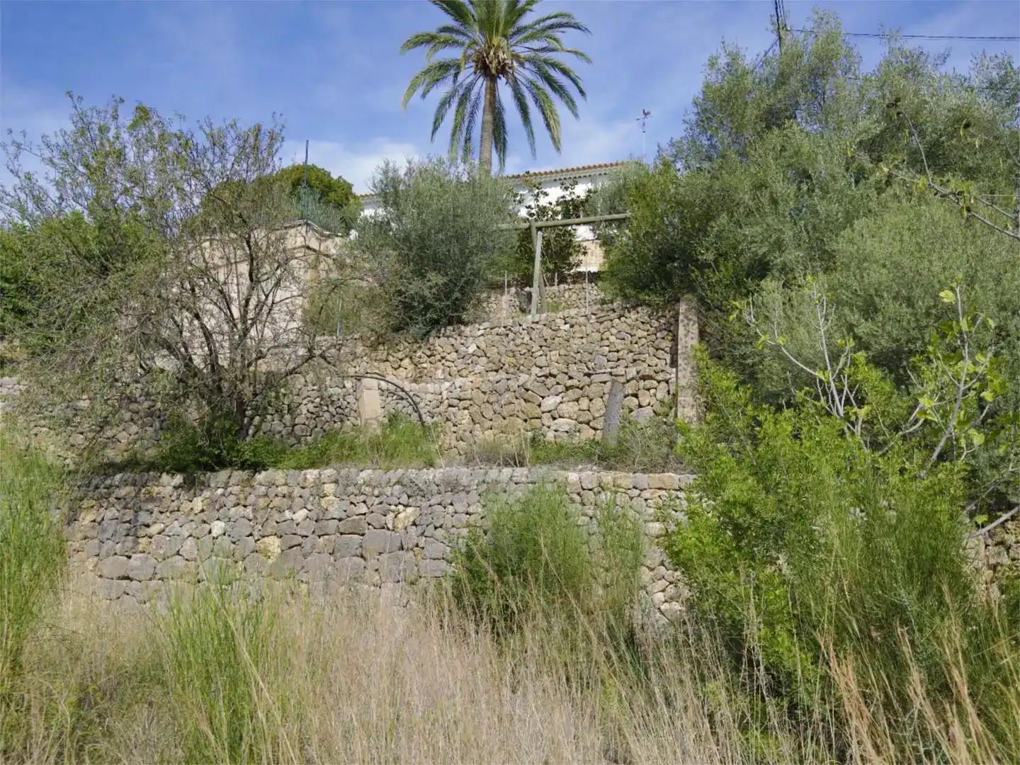 Jardín de Finca rústica en venta en Sóller con Aire acondicionado y Piscina