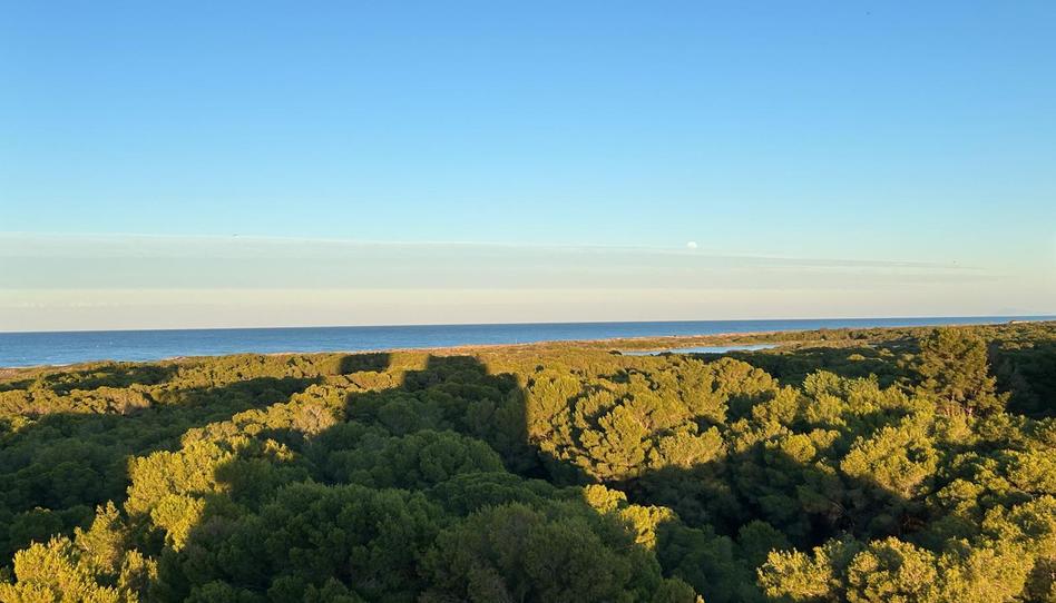 Photo 1 of Apartment to rent in Avenida de la Gola del Puchol, El Saler, Valencia