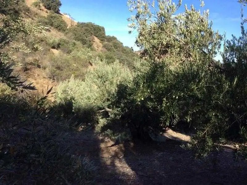 Terreni e lotti in vendita a Castillo de Locubín, imagen 19