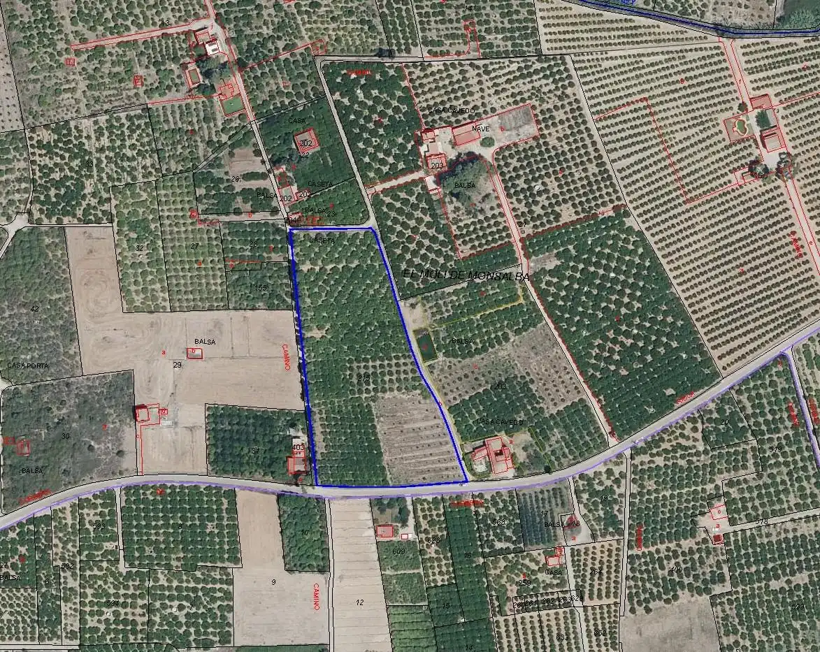 Terreno rustico in vendita a Plaza Numero, imagen 4