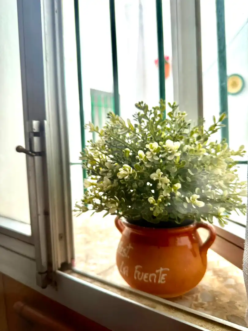 Maison mitoyenne avec terrasse à vendre à El Carmen, imagen 80