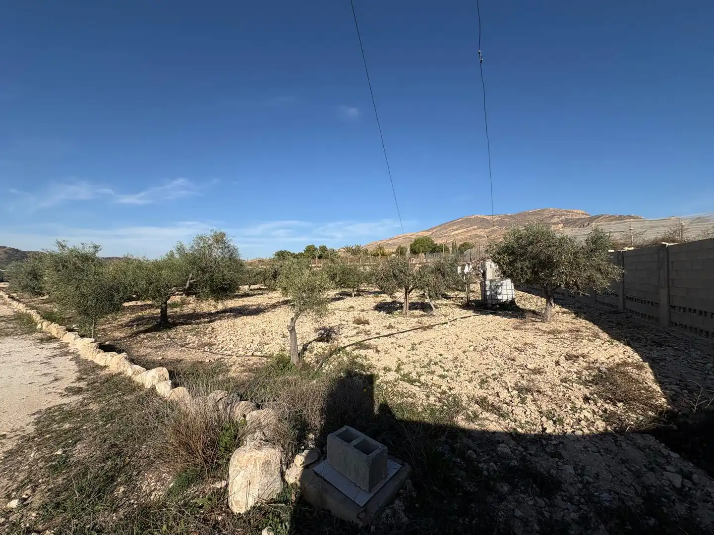 Rustikales Grundstück zum Verkauf in Monforte del Cid, imagen 36
