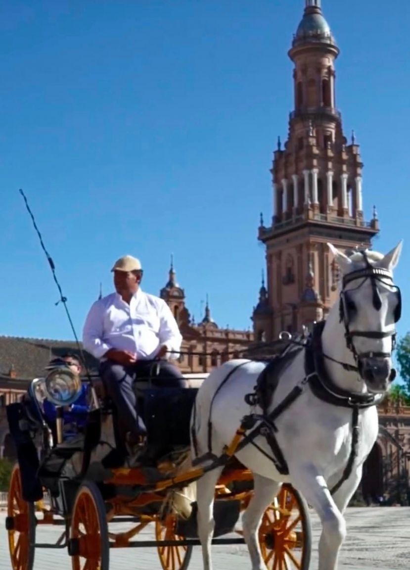 Haus oder Chalet zum Verkauf in Calle Ebro, Heliópolis