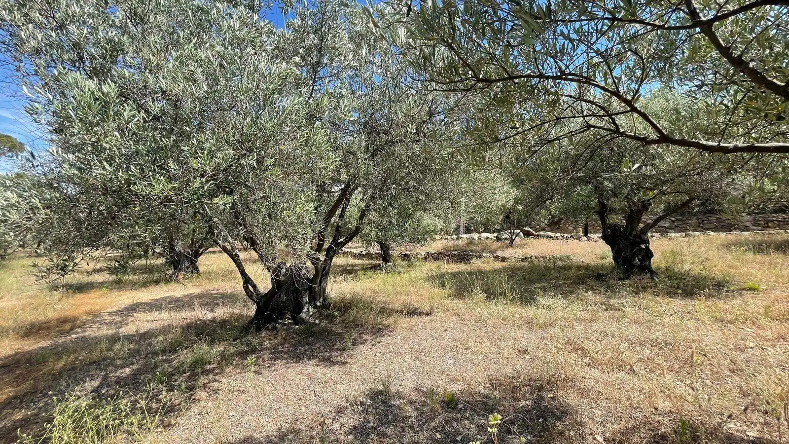 Finca rústica en venta en Vilajuïga con Terraza, Trastero y Balcón