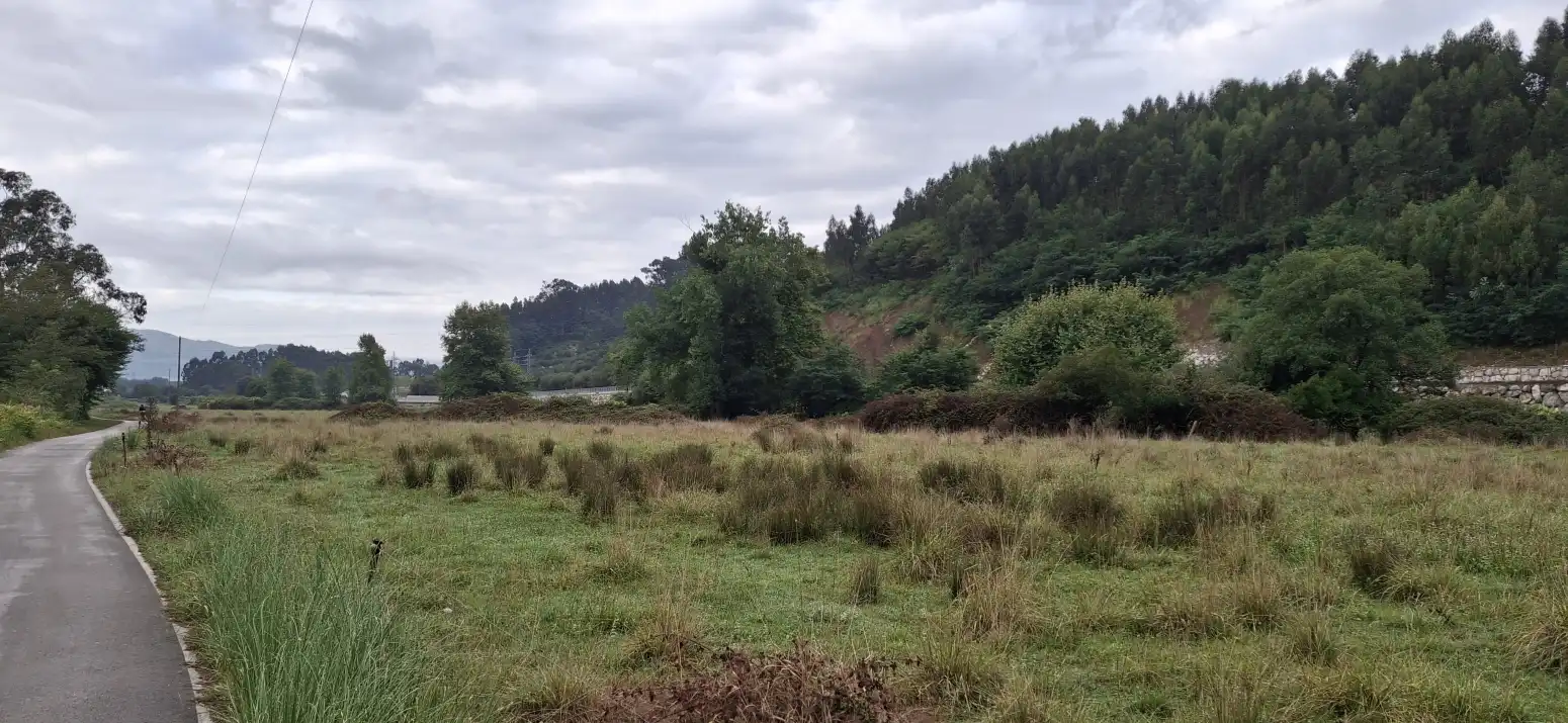 Terreno rustico in vendita a LAS CERRADAS, imagen 10