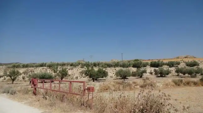 Terrains et parcelles à vendre à Lg Castañeda y Umbrías de La Pinosa, Pol 313, imagen 17
