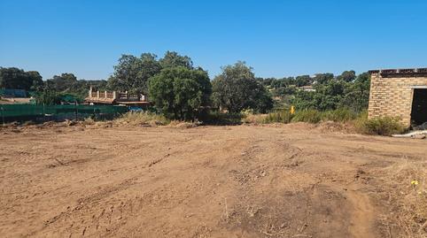 Foto 3 de Terreno industrial en venta en Castilblanco de los Arroyos, Sevilla