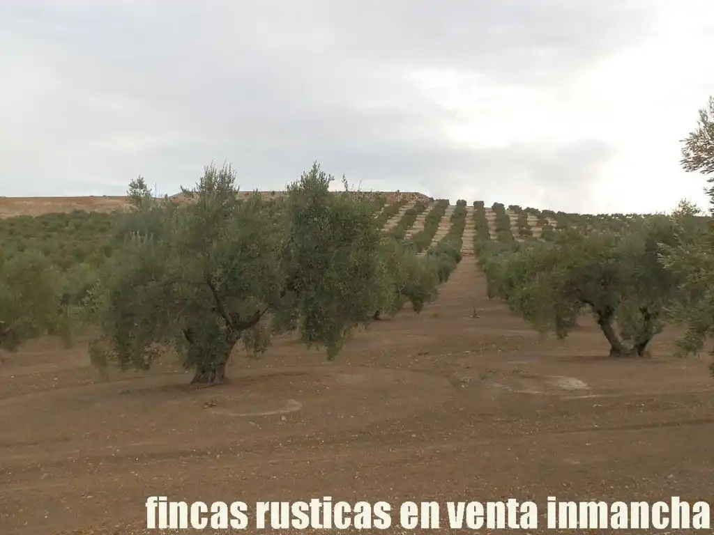 Terreni e lotti in vendita a Andújar, imagen 20