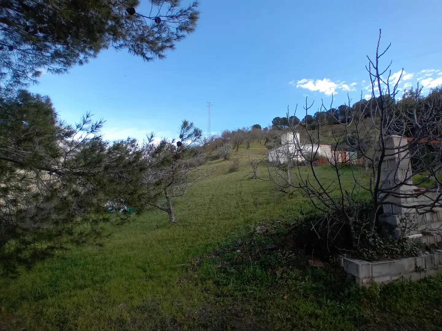 Casa rústica amb jardí en venda a Alozaina, imagen 26