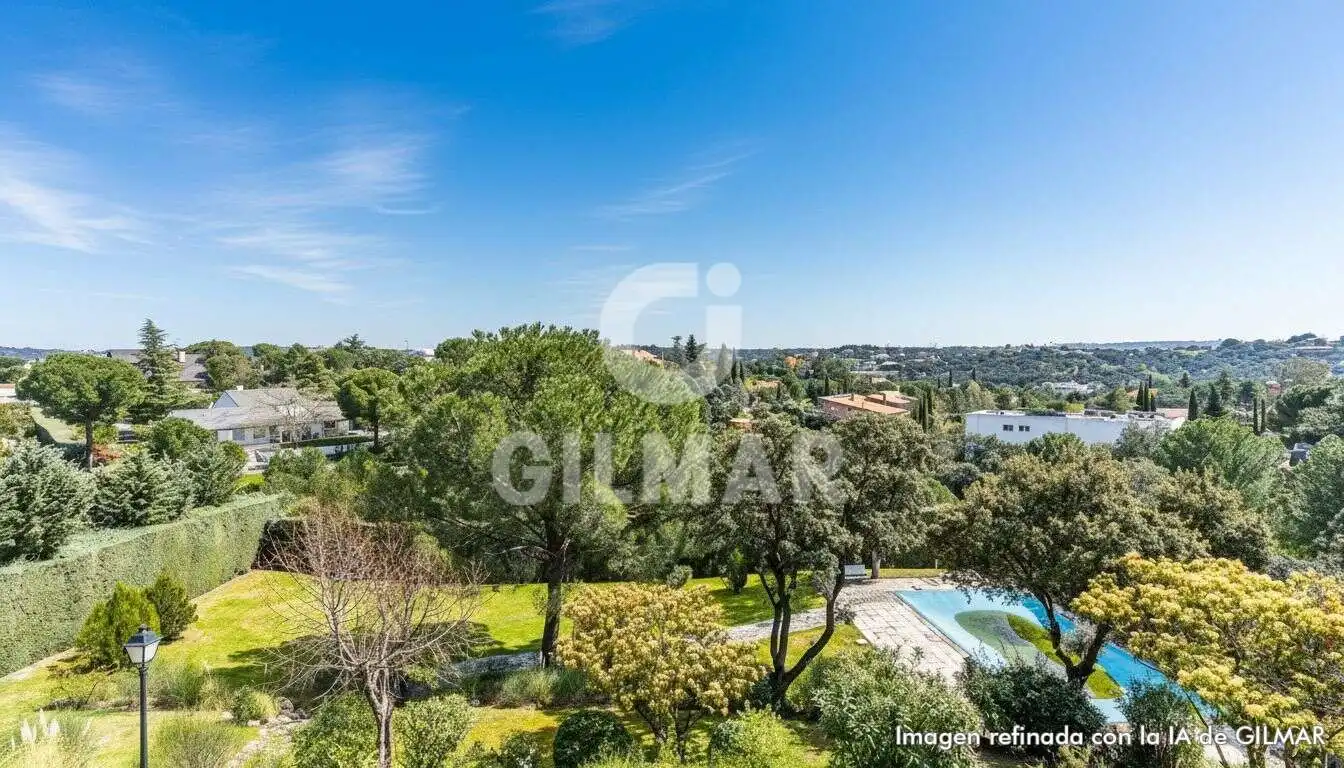 Jardí de Casa o xalet en venda en Las Rozas de Madrid amb Aire condicionat, Calefacció i Jardí privat