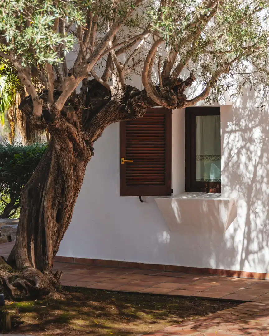 Vista exterior de Casa o xalet en venda en Jávea / Xàbia amb Aire condicionat, Jardí privat i Terrassa