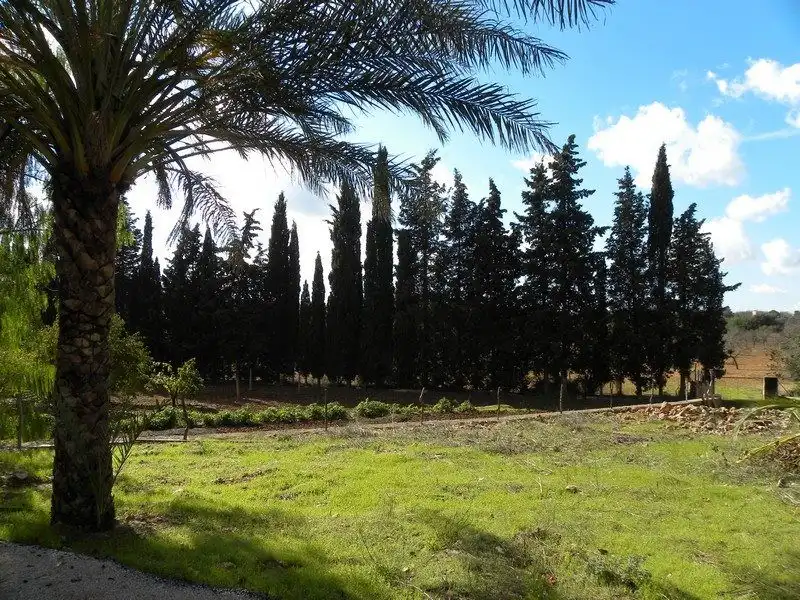Finca rústica en venta en Sencelles con Jardín privado, Terraza y Trastero