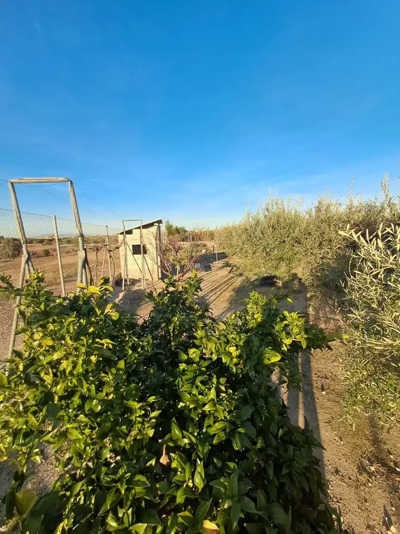 Casa en venta en Pedanías Sur, imagen 12