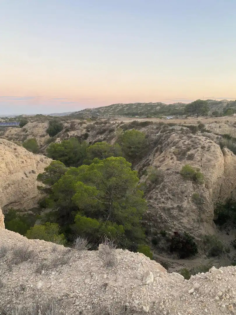 Land for sale in Camí de l'Alcoraia, 21, Cañada del Fenollar