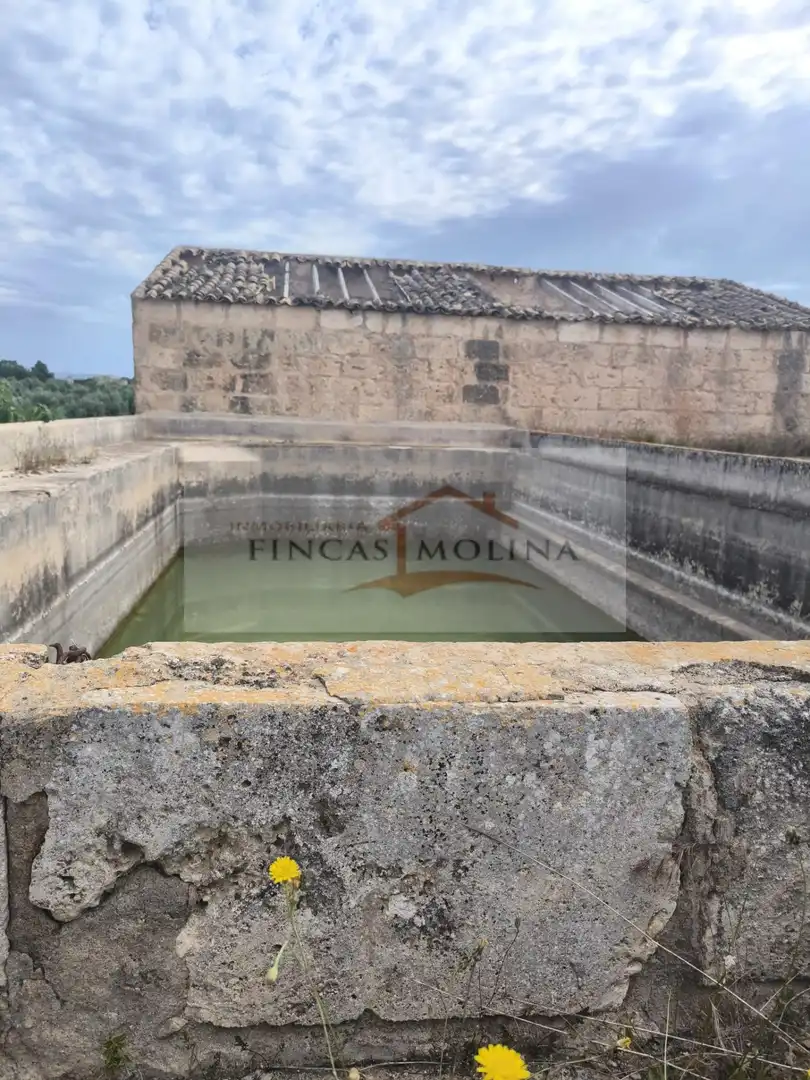 Terrenys i solars en venda a Sa Pobla, imagen 21