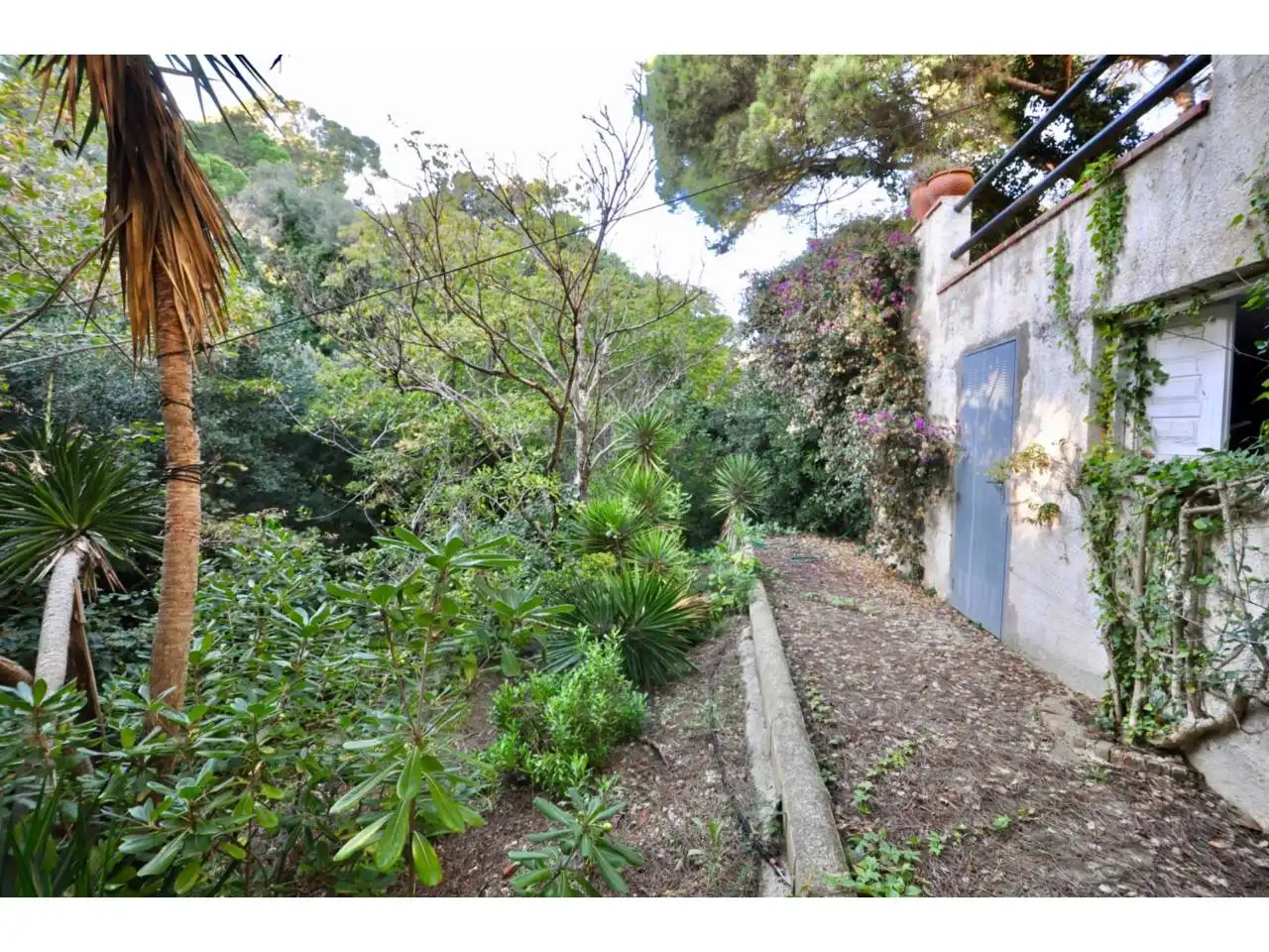 Jardín de Casa o chalet en venta en Lloret de Mar con Calefacción, Jardín privado y Terraza
