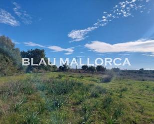 Land for sale in Sant Llorenç des Cardassar