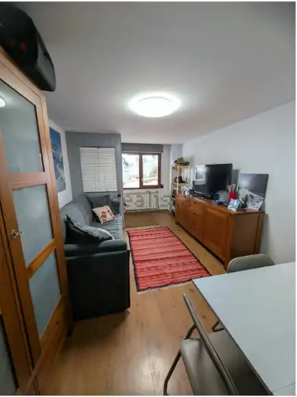 Sala d'estar de Estudi en venda en Aisa amb Calefacció, Parquet i Moblat