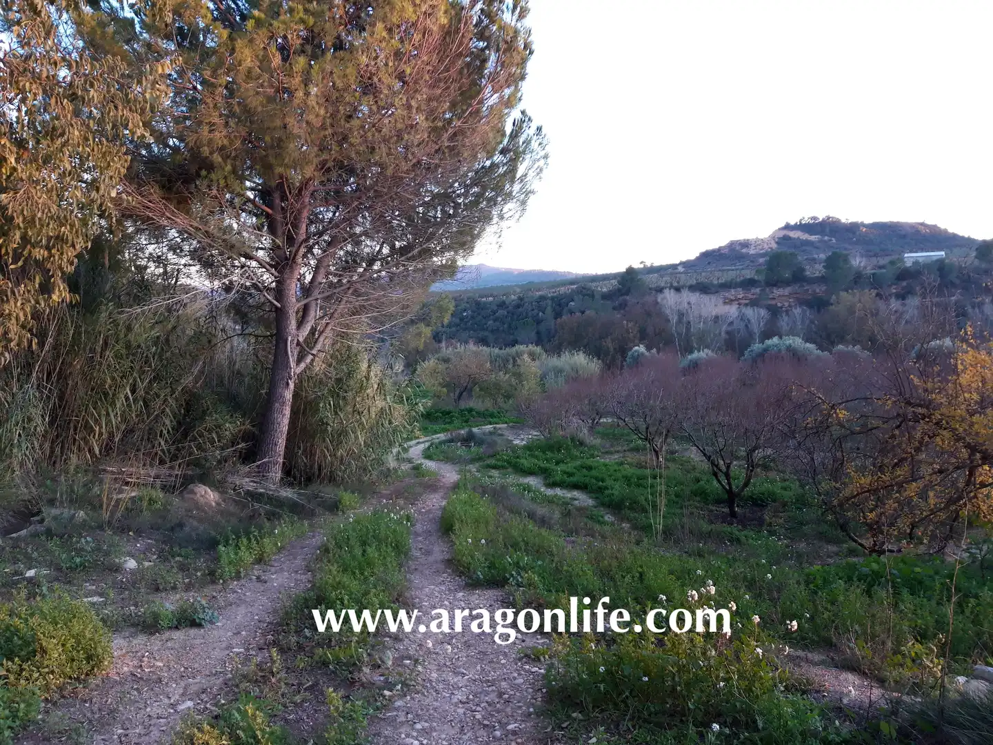 Casa rústica en venda a Caspe, imagen 11