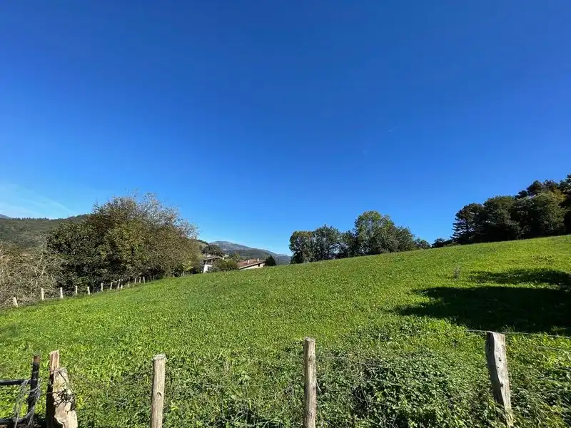 Country homes for sale in Altzo