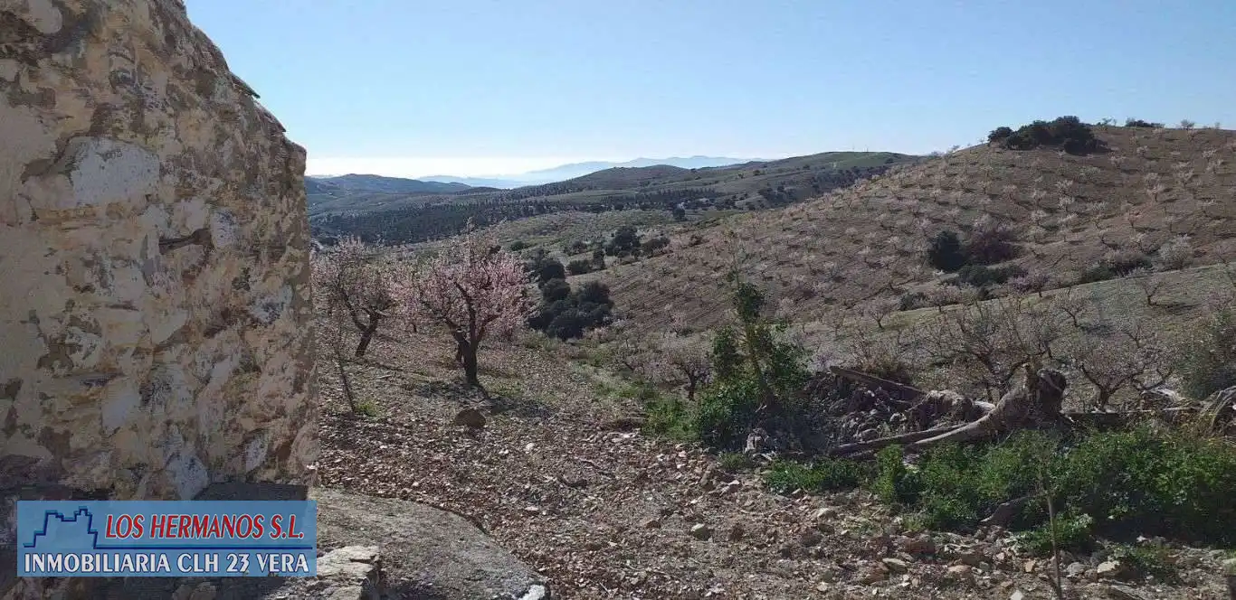 Finca rústica en venta en Vélez-Rubio