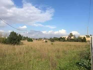Terreno rustico in vendita a Partidas de interior - Zona Rústica