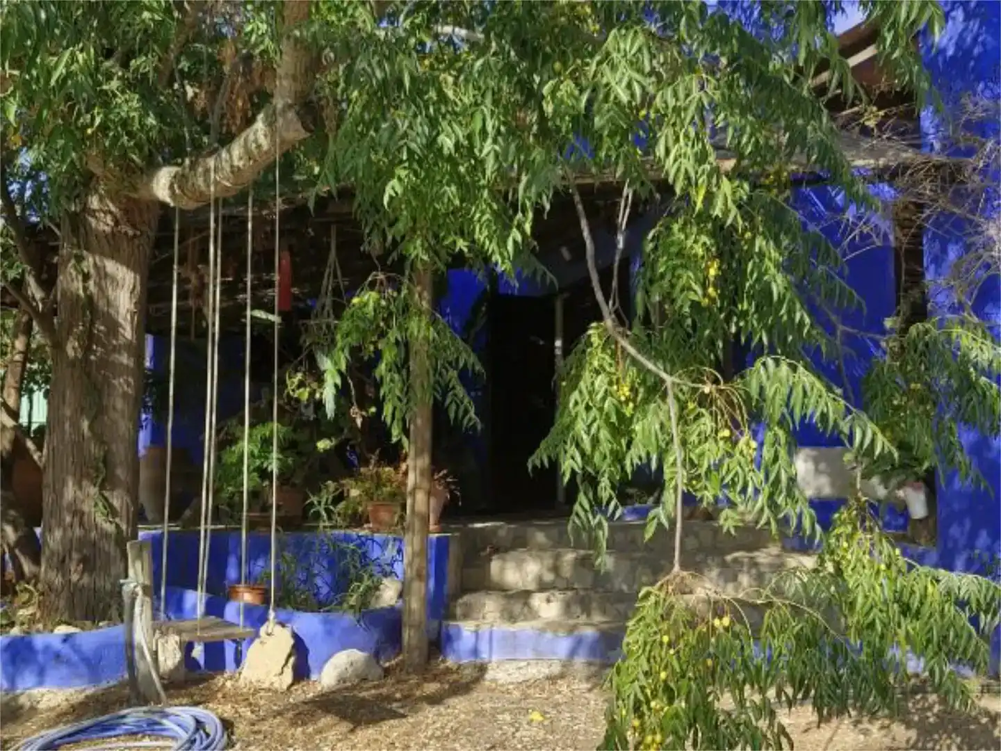 Garden of Houses for rent in Barbate  with Private garden, Parquet flooring and Swimming Pool