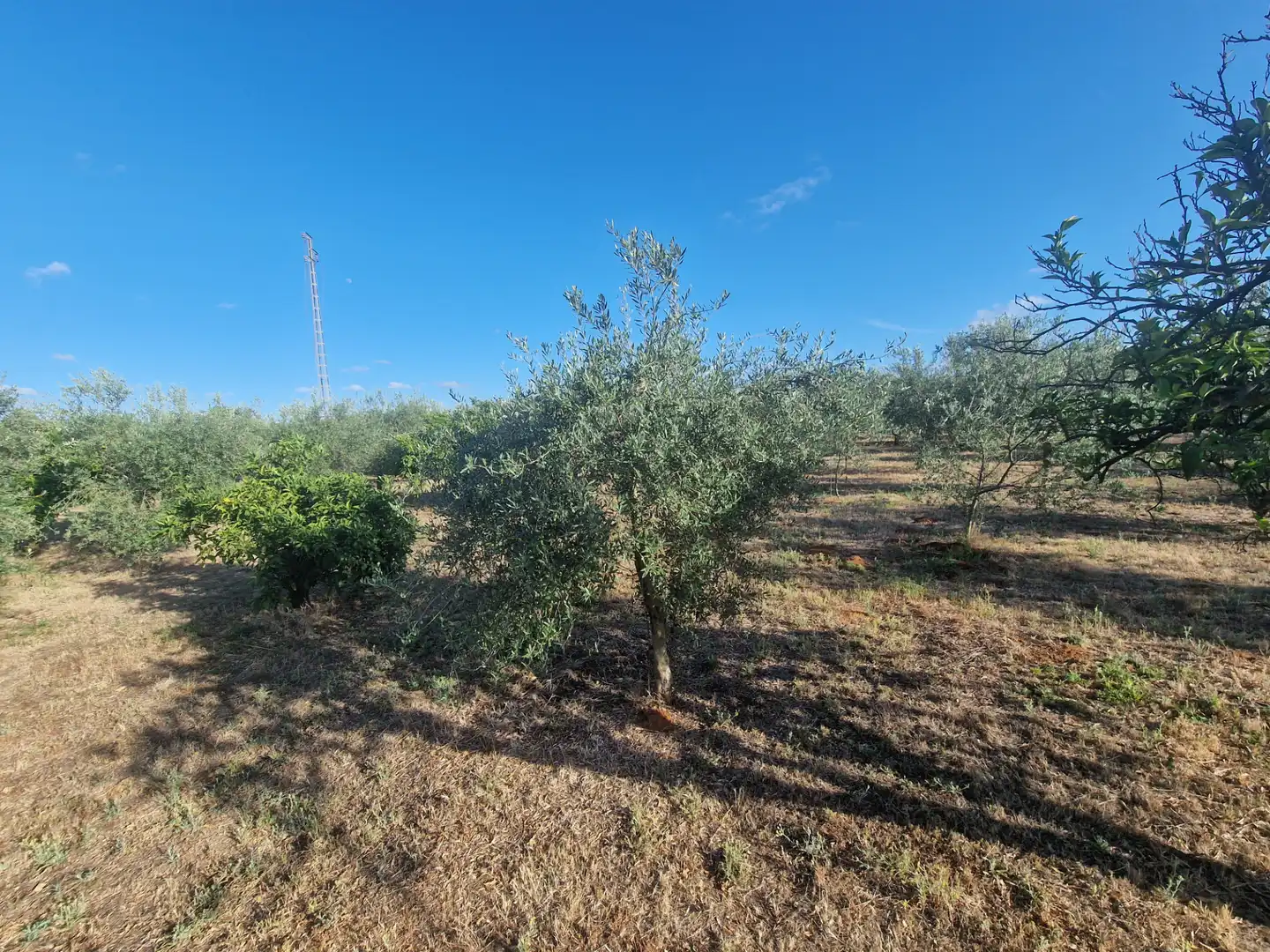 Country homes for sale in Umbrete  with Air Conditioner, Heating and Private garden