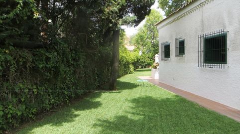 Foto 3 de Casa o chalet de alquiler en Gaviota, Punta Umbría, Huelva