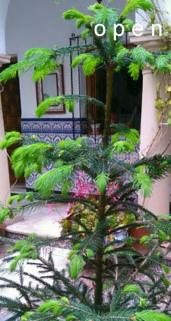 House with pool for sale in Centro, imagen 17