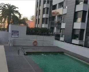 Swimming pool of Flat to rent in Algeciras  with Air Conditioner, Furnished and Community pool