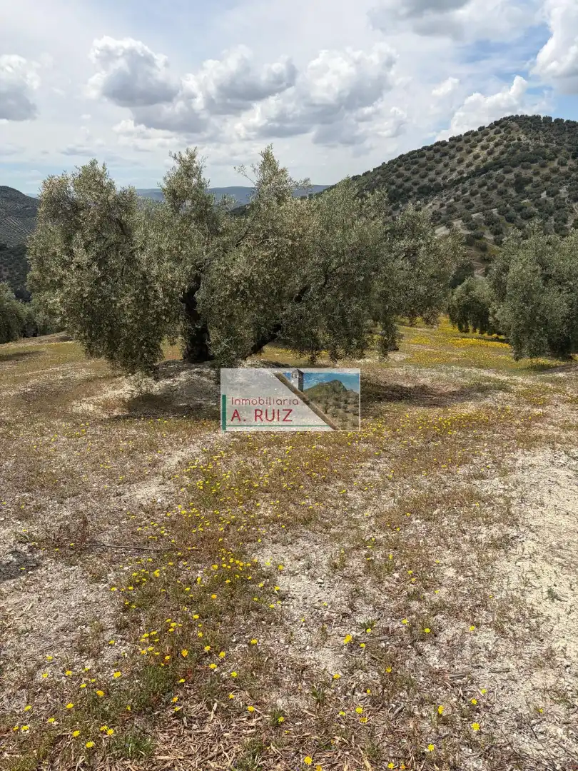 Rural land for sale in Iznájar