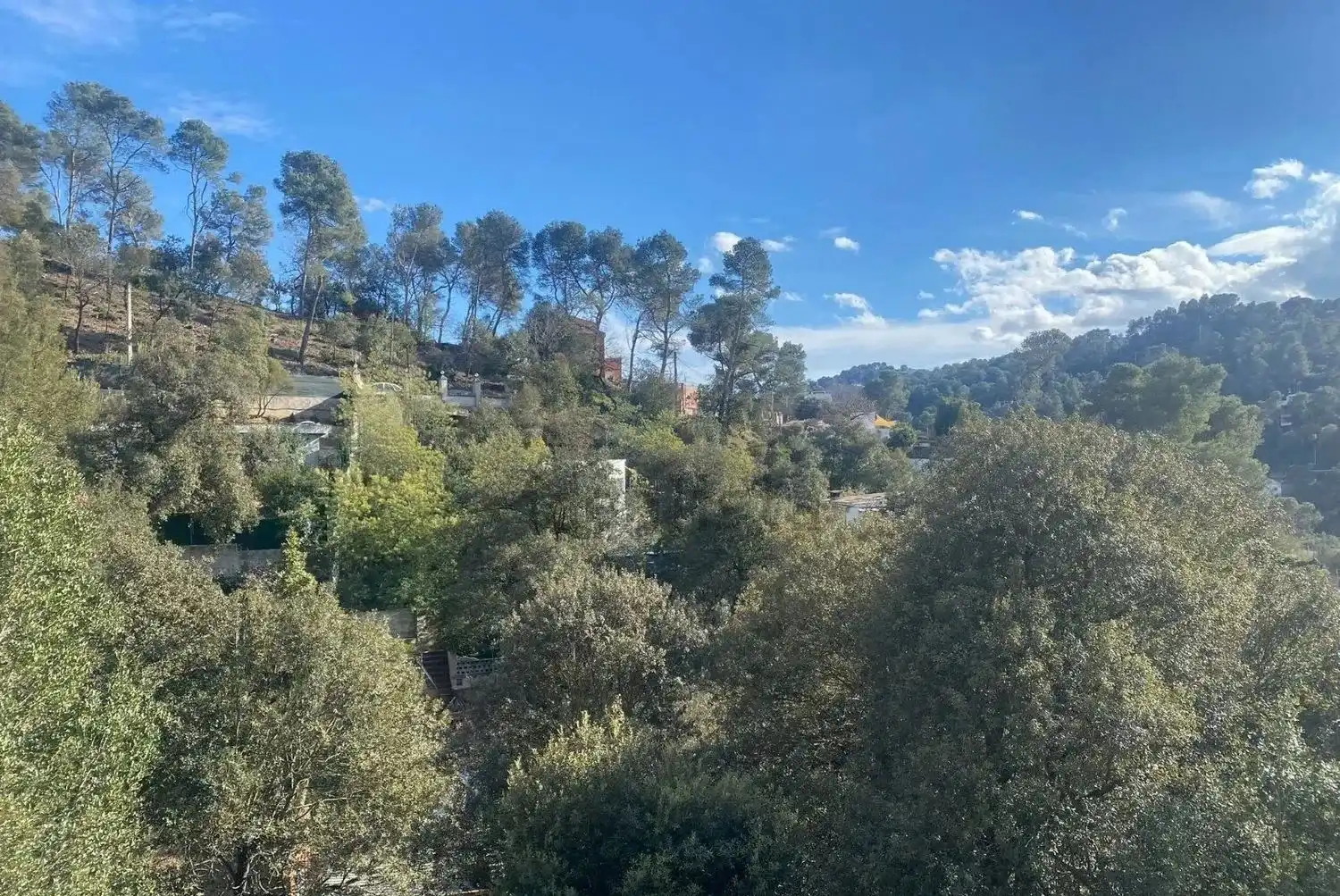 Terreno residenziale in vendita a La Floresta, imagen 3