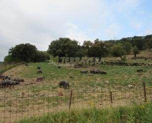 Residencial en venda en Jaraíz de la Vera