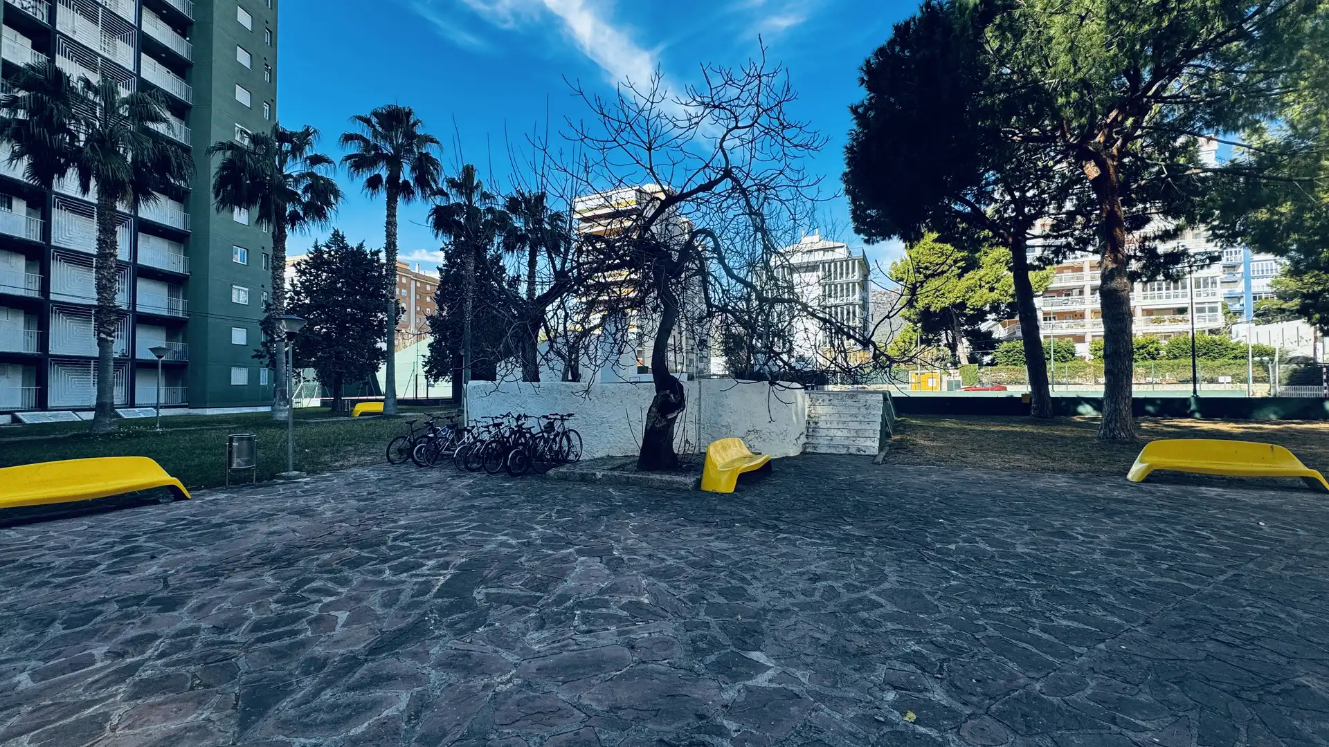Apartment mit Pool zur Miete in Carrer Bisbe Serra 5, imagen 19