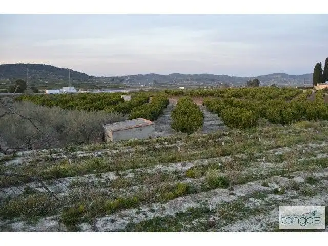 Terreny rústic en venda a Llanera de Ranes, imagen 9