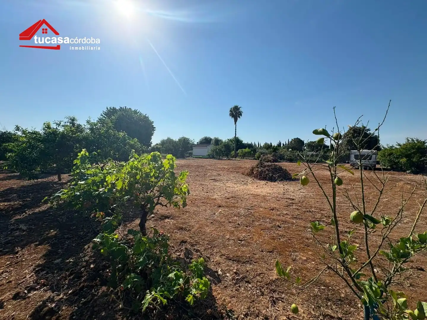 Maison rustique à vendre à Periurbano Oeste - Sierra, imagen 16