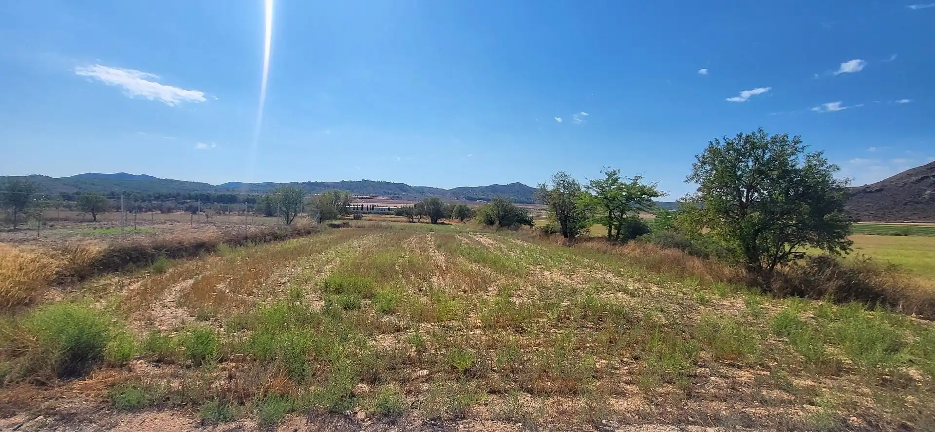 Villa à vendre à Caudete, imagen 18