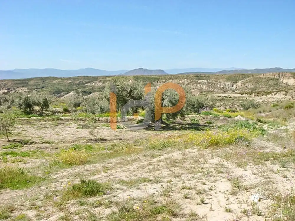 Terrain rustique à vendre à Huércal-Overa, imagen 4
