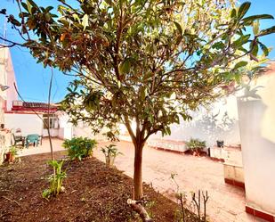 Jardí de Casa o xalet en venda en  Palma de Mallorca amb Aire condicionat i Terrassa