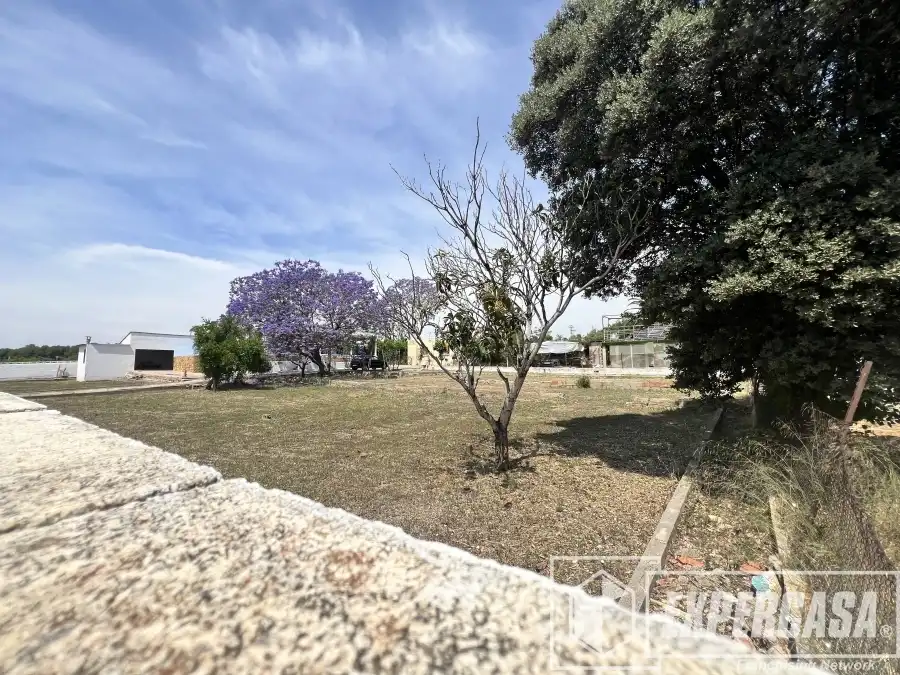 Casa o xalet en venda en Torrent amb Terrassa i Piscina