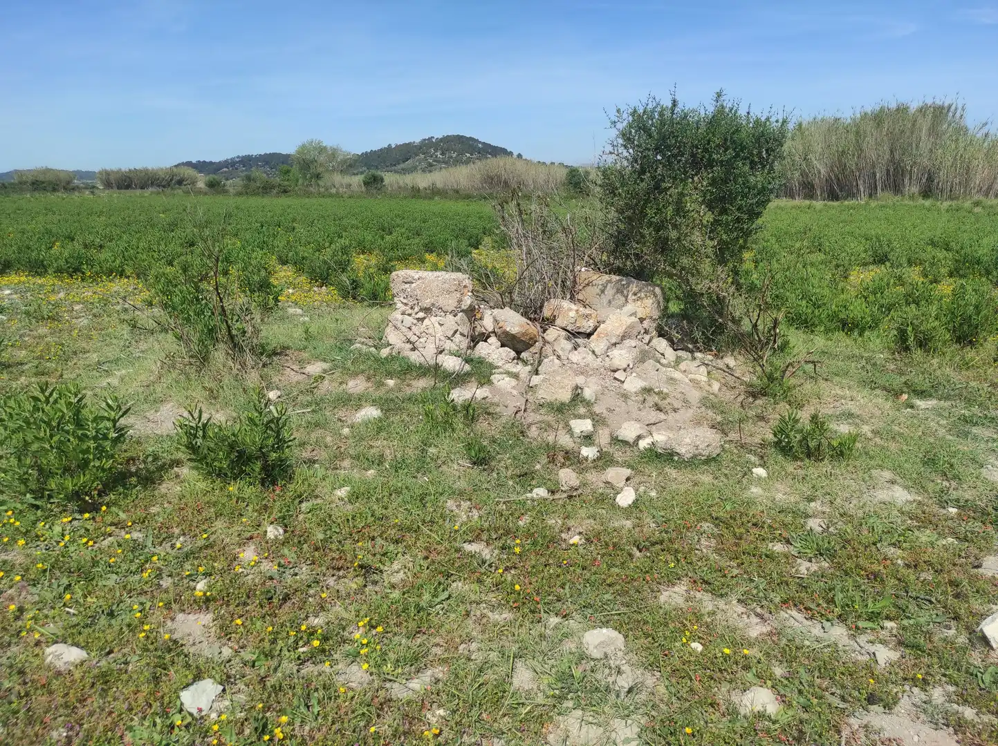 Casa rústica en venta en Sineu, imagen 14
